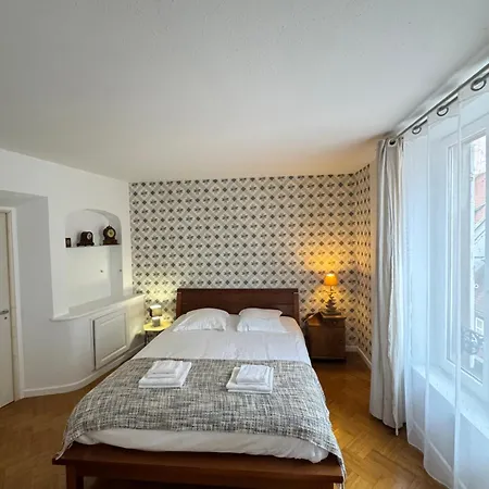 De Standing Hypercentre 公寓 科尔马